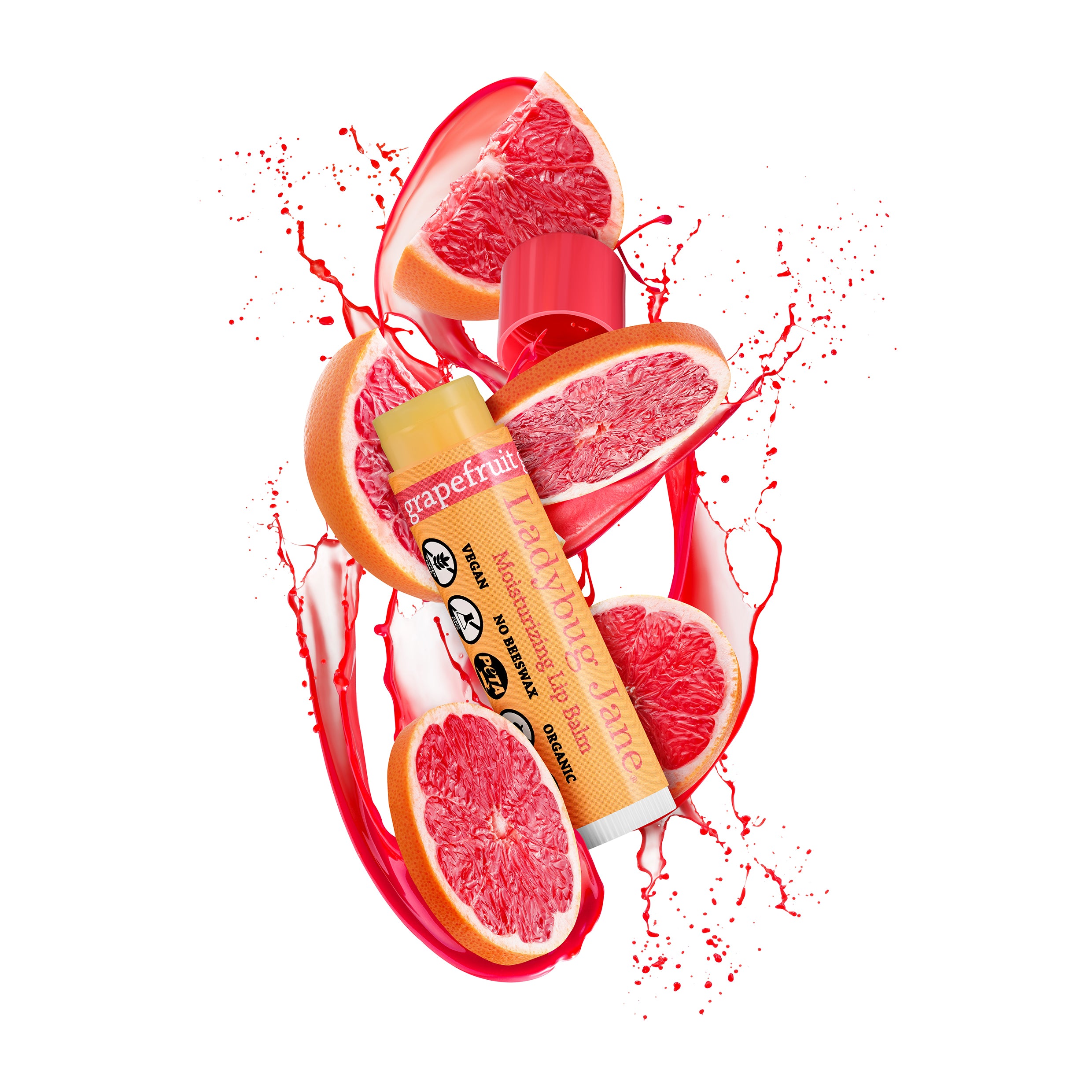 smaller_Ladybug_Jane3606_1_248